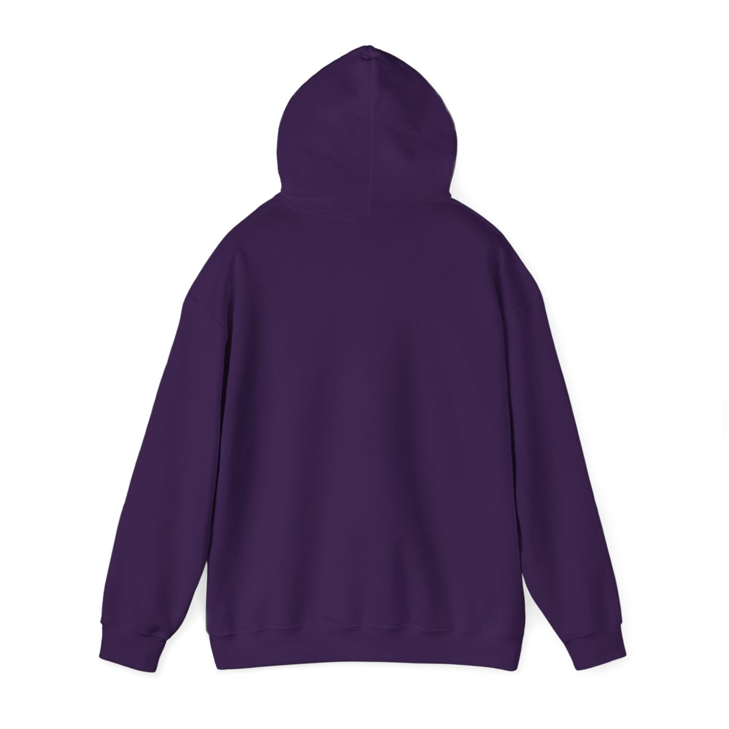 storm survivor a hoodie for resilient women