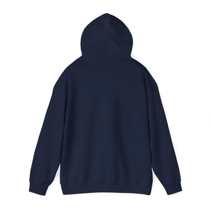 Storm Survivor A Hoodie For Resilient Women